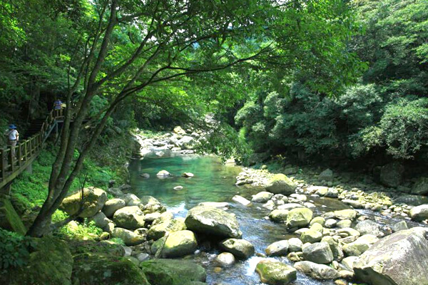 蓬萊溪護魚步道,南庄鄉,苗栗步道秘境